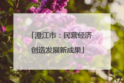 澄江市：民营经济创造发展新成果