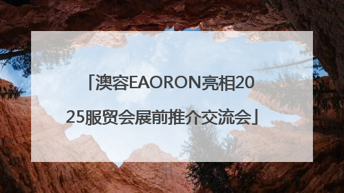 澳容EAORON亮相2025服贸会展前推介交流会