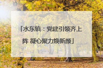 水东镇：党建引领齐上阵 凝心聚力焕新颜