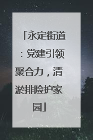 永定街道：党建引领聚合力，清淤排险护家园