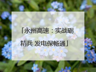永州高速：实战砺精兵 发电保畅通