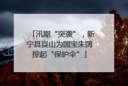 汛期“突袭”，新宁县崀山为国宝朱鹮撑起“保护伞”