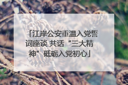 江岸公安重温入党誓词座谈 共话“三大精神”砥砺入党初心