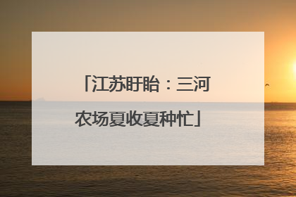 江苏盱眙：三河农场夏收夏种忙
