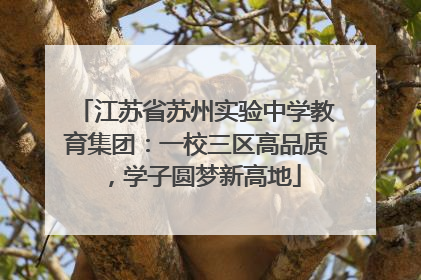 江苏省苏州实验中学教育集团：一校三区高品质，学子圆梦新高地