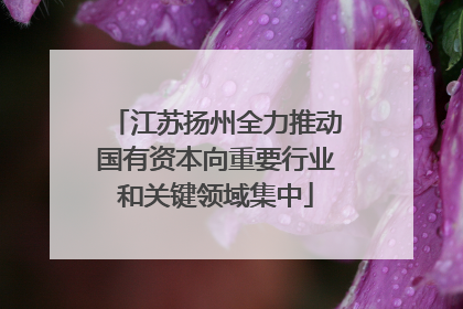 江苏扬州全力推动国有资本向重要行业和关键领域集中