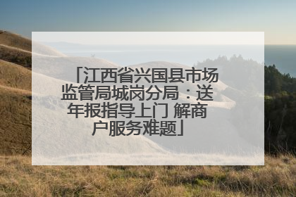 江西省兴国县市场监管局城岗分局：送年报指导上门 解商户服务难题