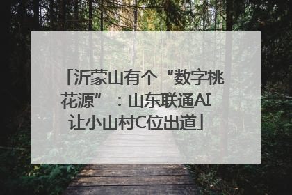 沂蒙山有个“数字桃花源”：山东联通AI让小山村C位出道