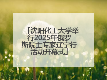 沈阳化工大学举行2025年俄罗斯院士专家辽宁行活动开幕式