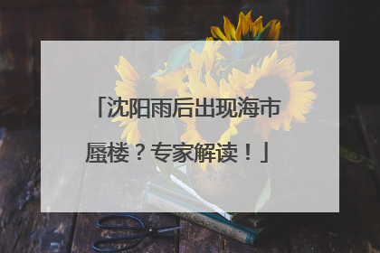 沈阳雨后出现海市蜃楼？专家解读！