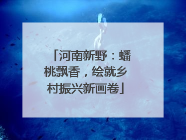 河南新野：蟠桃飘香，绘就乡村振兴新画卷