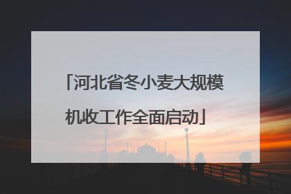 河北省冬小麦大规模机收工作全面启动