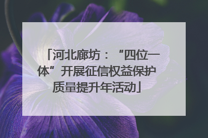 河北廊坊：“四位一体”开展征信权益保护质量提升年活动