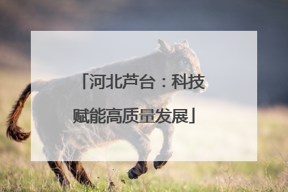 河北芦台：科技赋能高质量发展