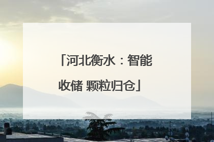 河北衡水：智能收储 颗粒归仓