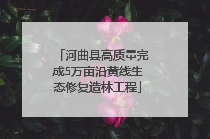 河曲县高质量完成5万亩沿黄线生态修复造林工程
