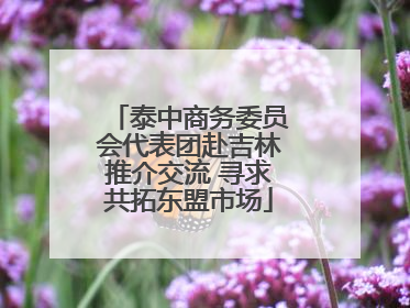 泰中商务委员会代表团赴吉林推介交流 寻求共拓东盟市场