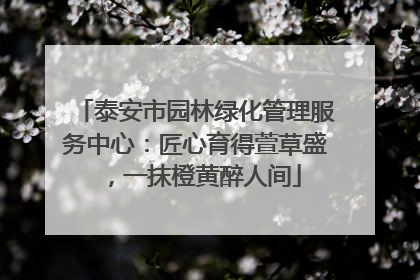 泰安市园林绿化管理服务中心：匠心育得萱草盛，一抹橙黄醉人间