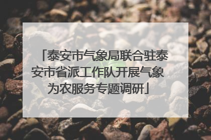 泰安市气象局联合驻泰安市省派工作队开展气象为农服务专题调研