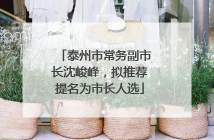 泰州市常务副市长沈峻峰，拟推荐提名为市长人选