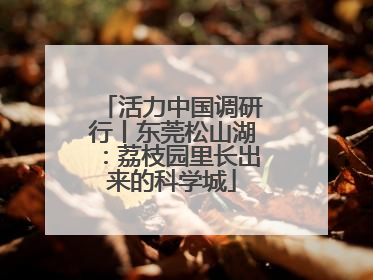 活力中国调研行丨东莞松山湖：荔枝园里长出来的科学城