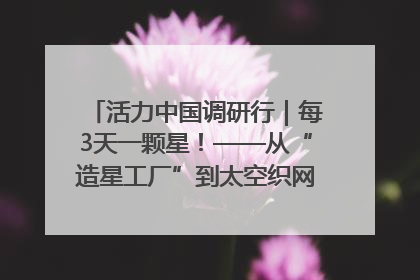 活力中国调研行｜每3天一颗星！——从“造星工厂”到太空织网的“银河速度”