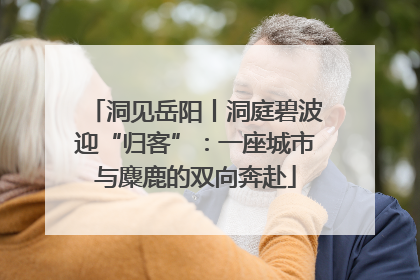 洞见岳阳丨洞庭碧波迎“归客”：一座城市与麋鹿的双向奔赴