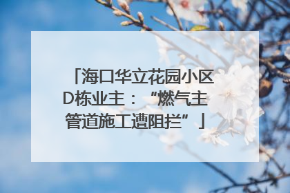 海口华立花园小区D栋业主：“燃气主管道施工遭阻拦”