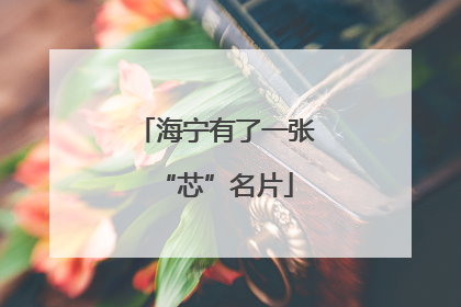 海宁有了一张“芯”名片