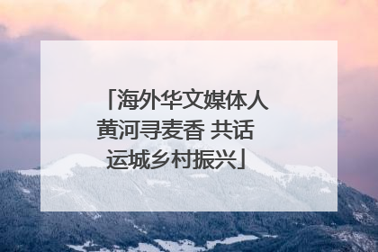 海外华文媒体人黄河寻麦香 共话运城乡村振兴