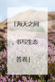 海天之间，书写生态答卷