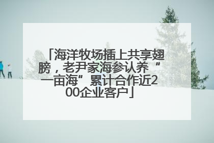 海洋牧场插上共享翅膀，老尹家海参认养“一亩海”累计合作近200企业客户