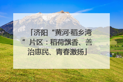 济阳“黄河·稻乡湾”片区：稻荷飘香、善治惠民、青春激扬