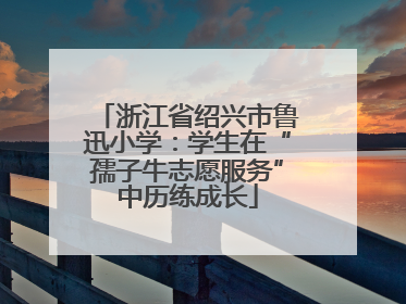 浙江省绍兴市鲁迅小学：学生在“孺子牛志愿服务”中历练成长