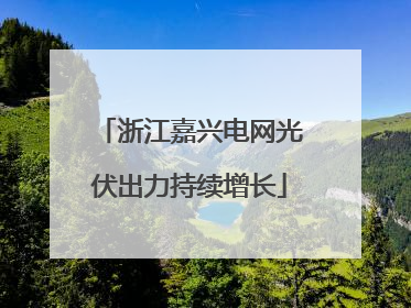 浙江嘉兴电网光伏出力持续增长
