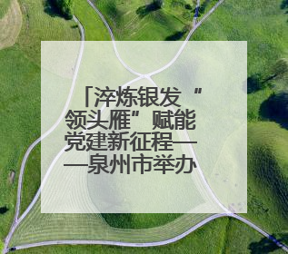 淬炼银发“领头雁”赋能党建新征程——泉州市举办离退休干部党支部书记能力建设专题培训