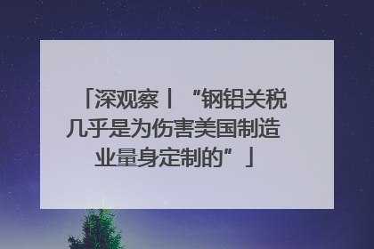 深观察丨“钢铝关税几乎是为伤害美国制造业量身定制的”