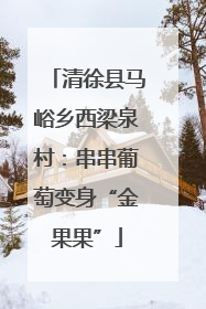清徐县马峪乡西梁泉村：串串葡萄变身“金果果”