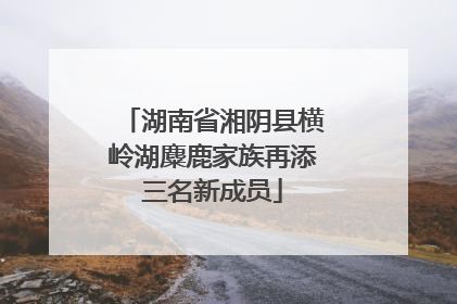 湖南省湘阴县横岭湖麋鹿家族再添三名新成员