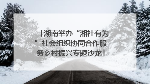 湖南举办“湘社有为”社会组织协同合作服务乡村振兴专题沙龙