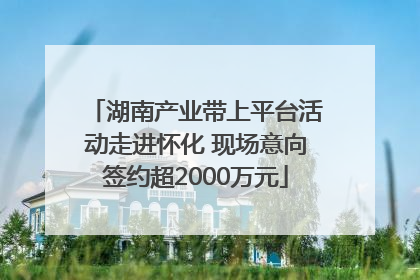 湖南产业带上平台活动走进怀化 现场意向签约超2000万元