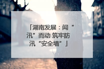 湖南发展：闻“汛”而动 筑牢防汛“安全墙”