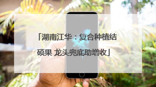 湖南江华：复合种植结硕果 龙头兜底助增收