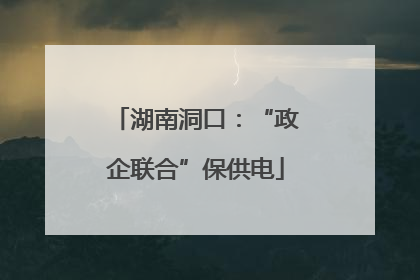 湖南洞口：“政企联合”保供电