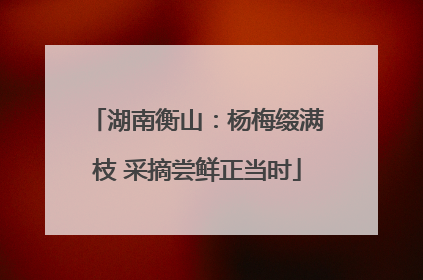 湖南衡山：杨梅缀满枝 采摘尝鲜正当时