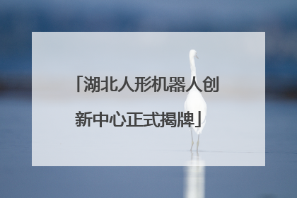 湖北人形机器人创新中心正式揭牌