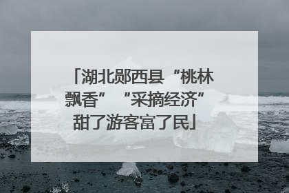 湖北郧西县“桃林飘香”“采摘经济”甜了游客富了民