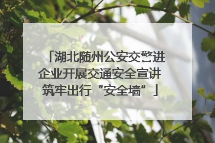 湖北随州公安交警进企业开展交通安全宣讲筑牢出行“安全墙”