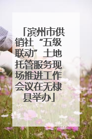滨州市供销社“五级联动”土地托管服务现场推进工作会议在无棣县举办