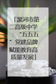 漯河市第二高级中学：“五五五”党建品牌赋能教育高质量发展